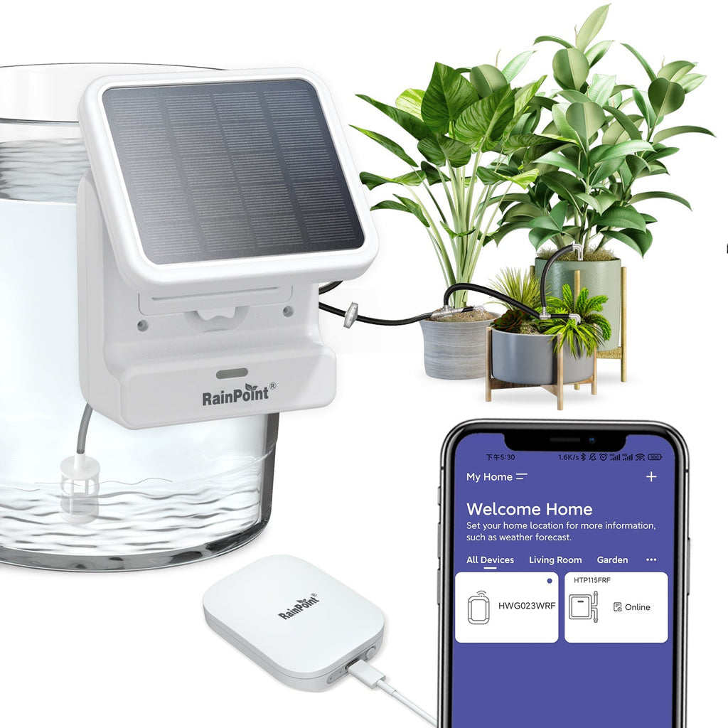 RainPoint Wi-Fi Indoor Watering Timer