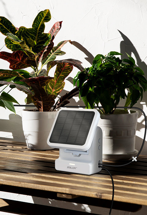 Smart Plant Care Bundle for Indoor Gardening - in use