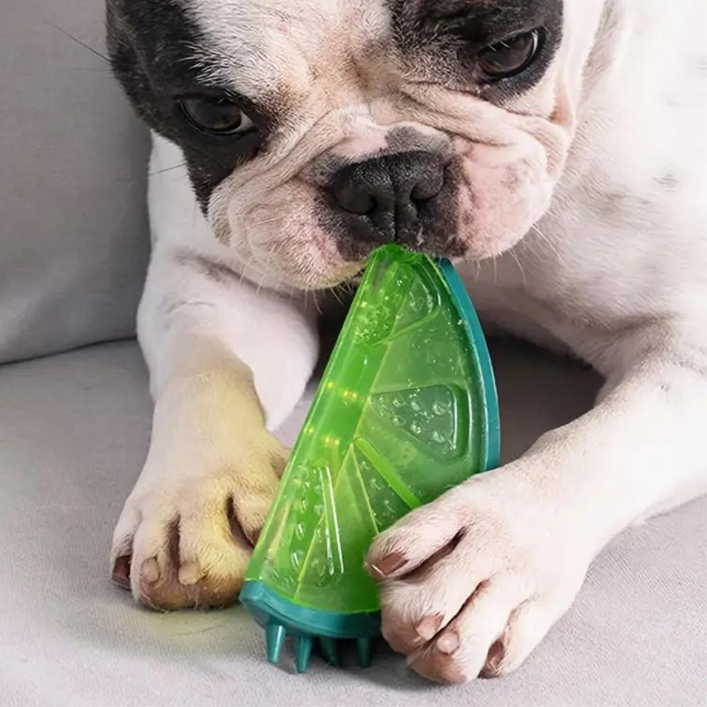 Cooling Freezable Summer Pet Dog Teething Chew Toy - alternate angle