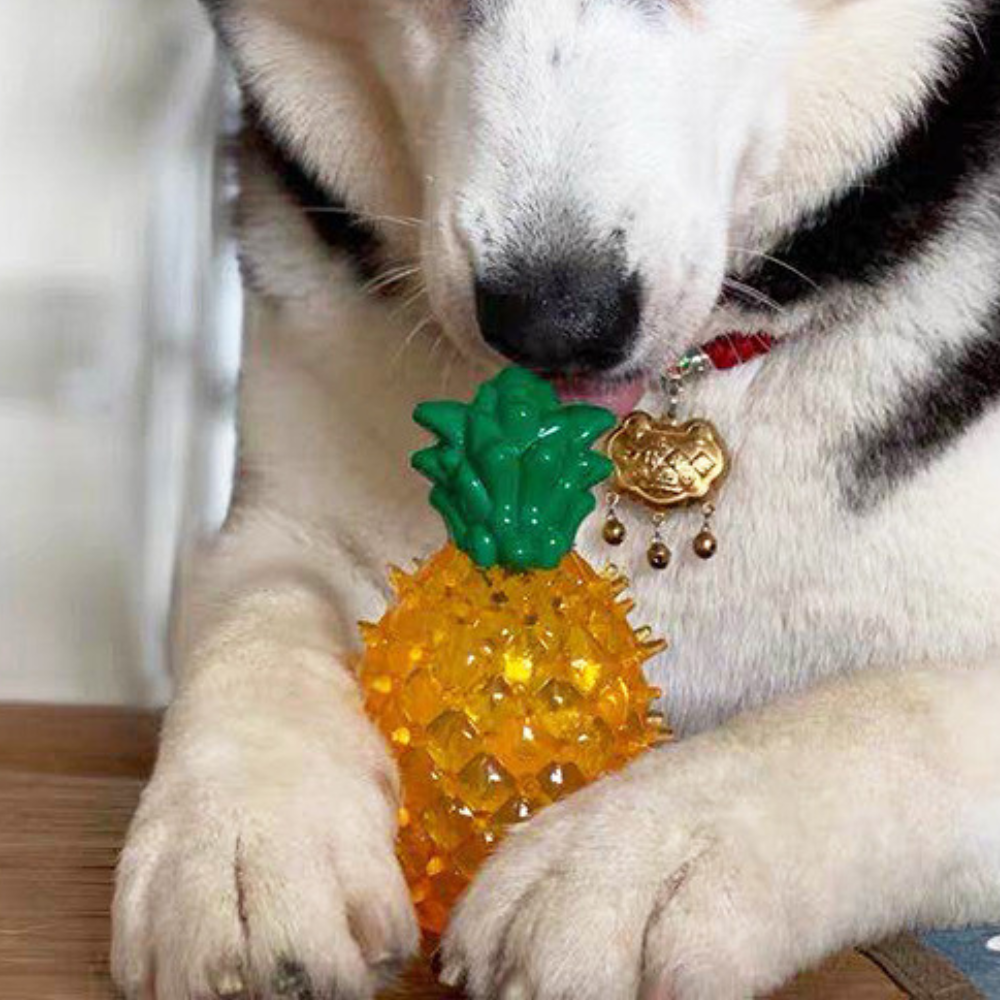 Cooling Freezable Summer Pet Dog Teething Chew Toy - detail