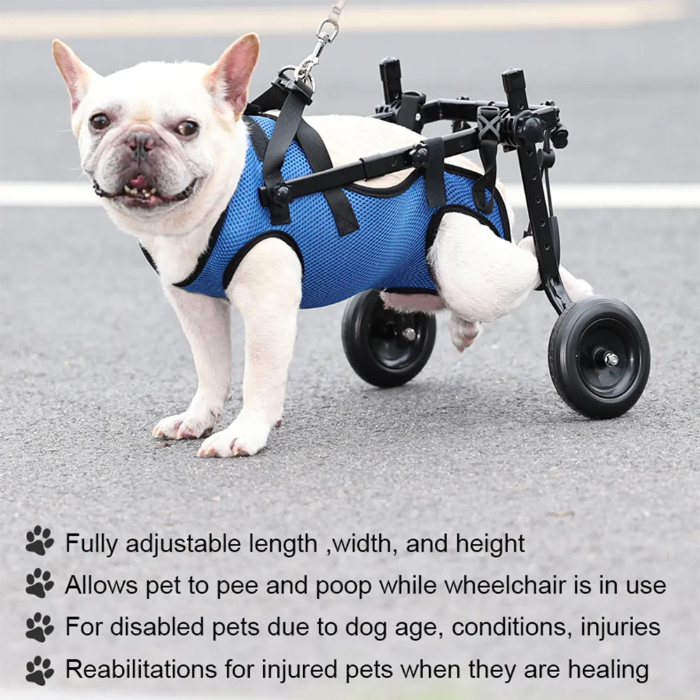 Dog Wheelchair Disability Dog Hind Legs Bracket Cat Dog Injured And - detail