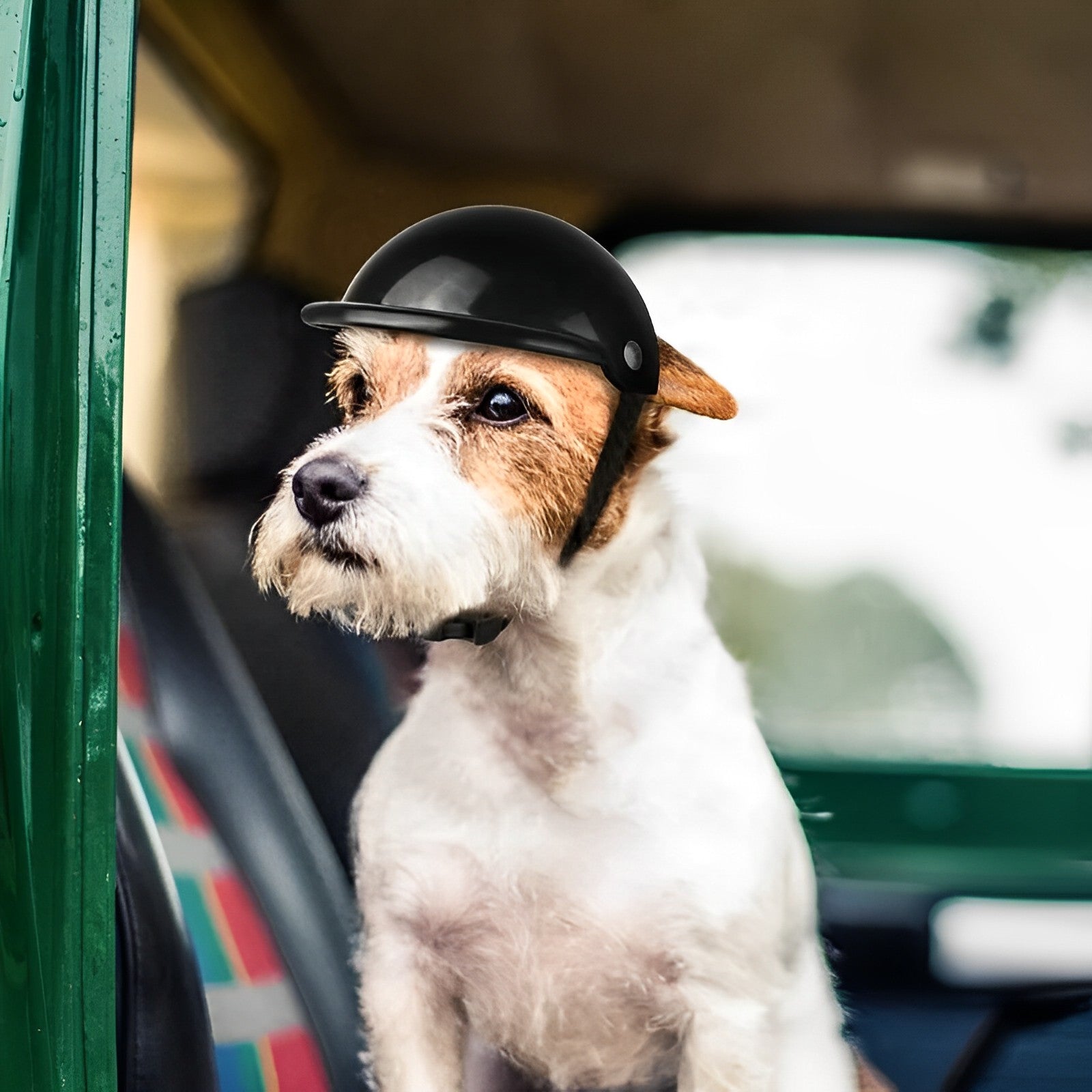 Dog Motorcycle Helmet And Goggles - alternate angle