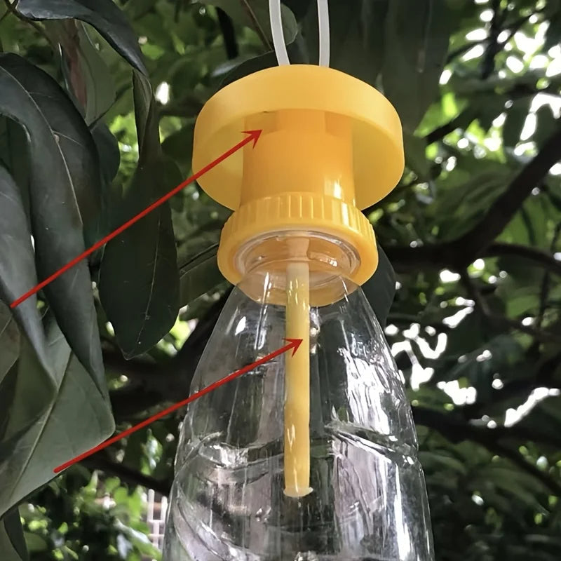 Fruit Fly Trap with Hanging Cover - detail