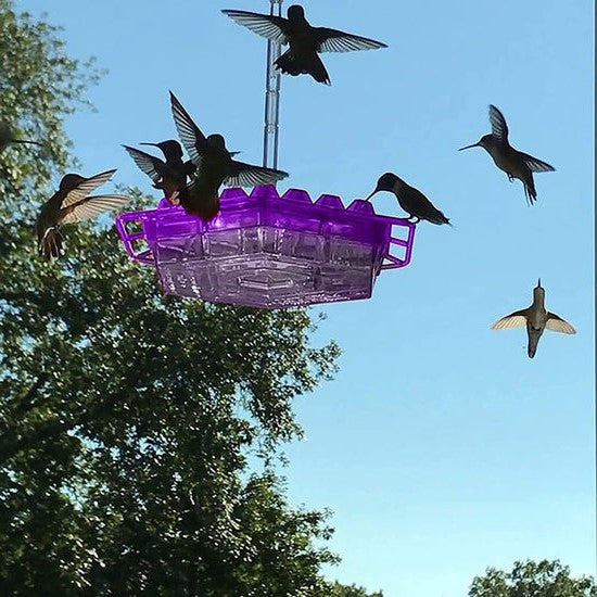 Ant Proof Hummingbird Feeder Outdoor Hanging Perch - detail