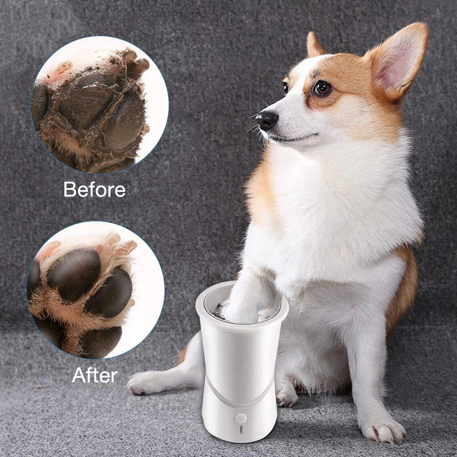 Automatic Paw Cleaner - alternate angle
