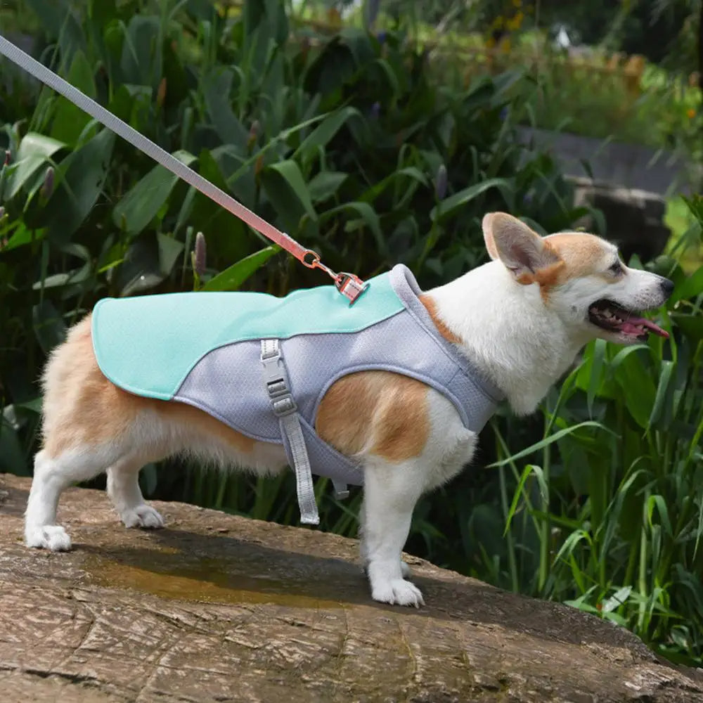 Dog Cooling Vest for Outdoor Activities - detail