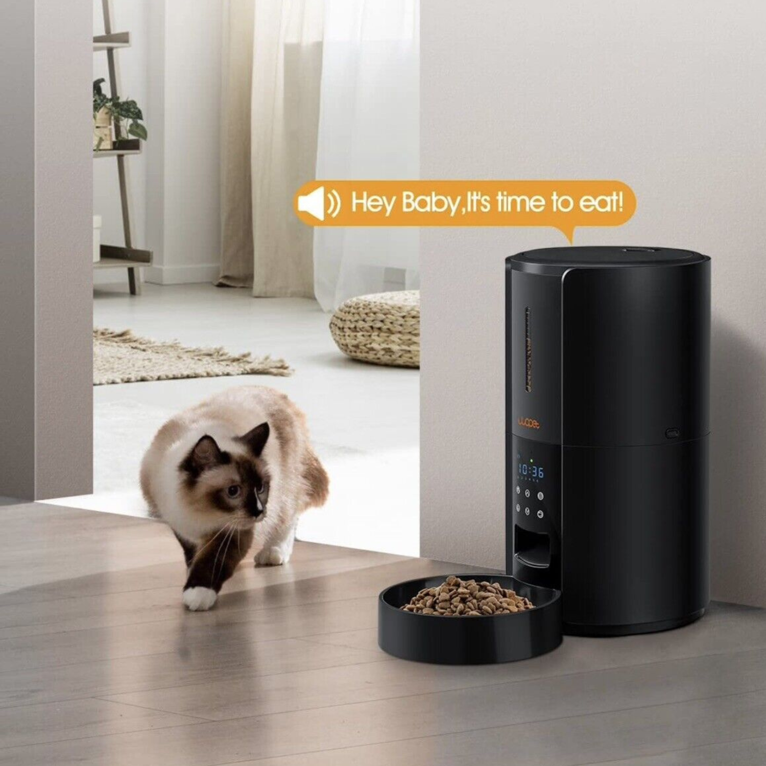 Exclusive Large Automatic Dog Cat Time Pet Food Feeder Dispenser - detail