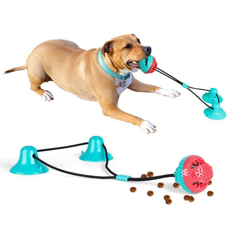 Dog Suction Toy - alternate angle
