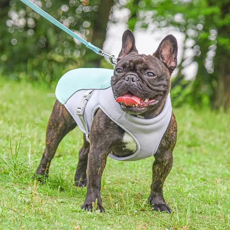 Dog Cooling Vest for Outdoor Activities - alternate angle