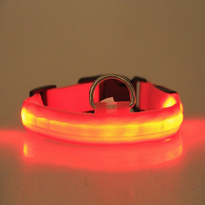 LED PET Safety Halo Style Collar - detail