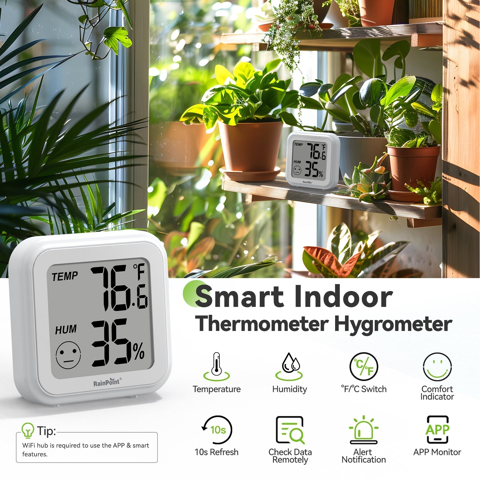 Rainpoint WiFi Thermo-Hygrometer - detail