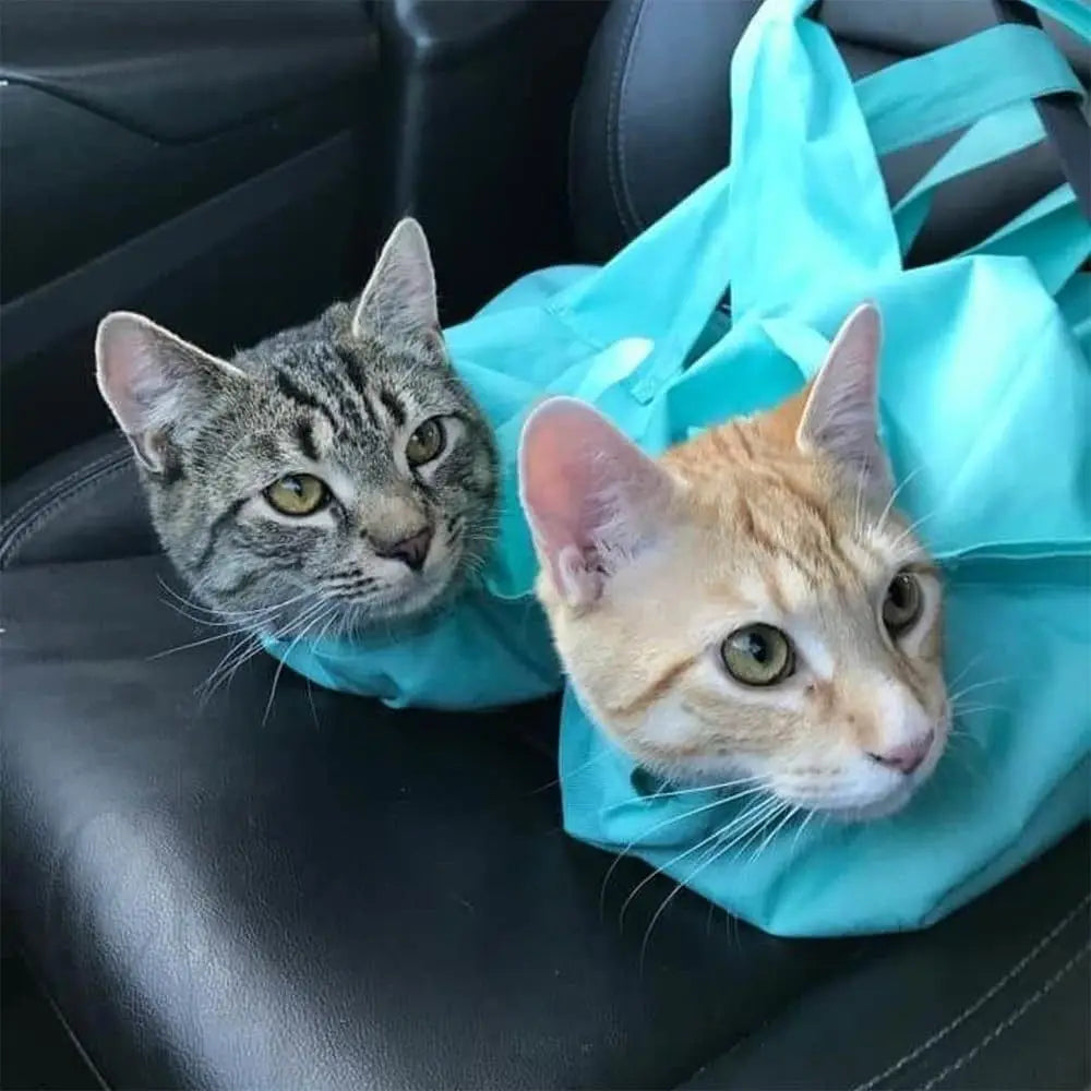 Anti Scratching Travel Cat Carrier Pouch - in use