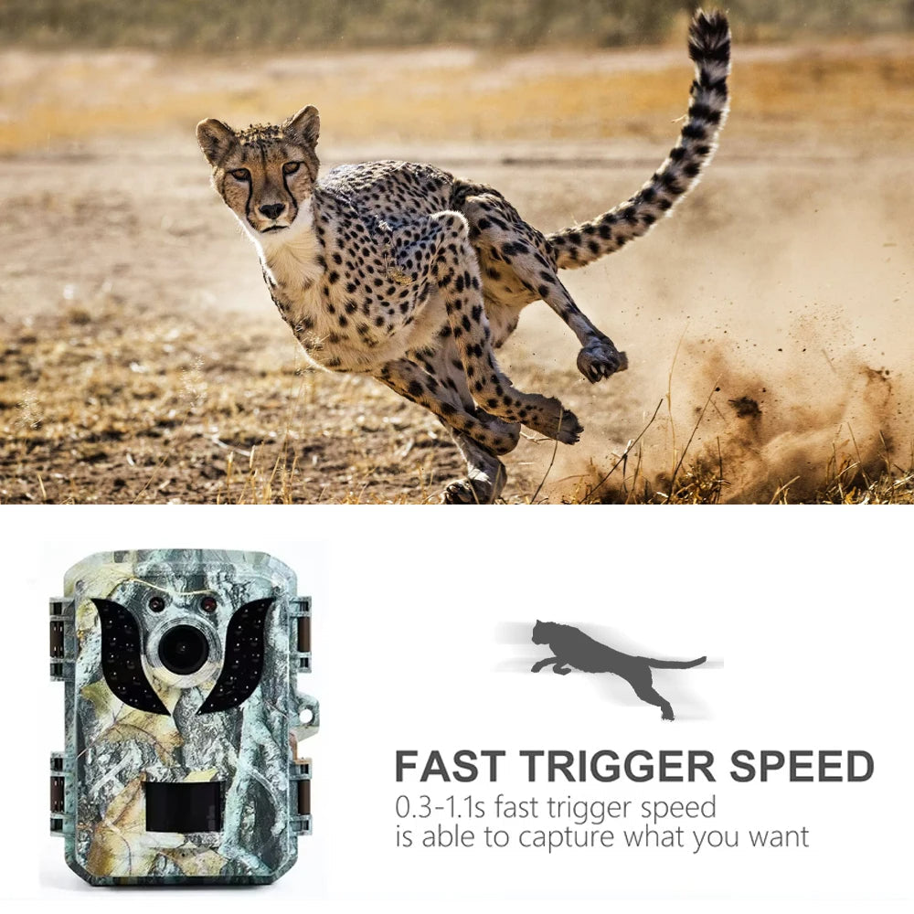 Compact Wildlife Camera with HD Infrared Night Vision - in use
