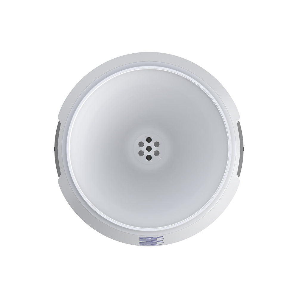 Rainpoint Wireless WiFi Rain Gauge (Hub Required), Wireless