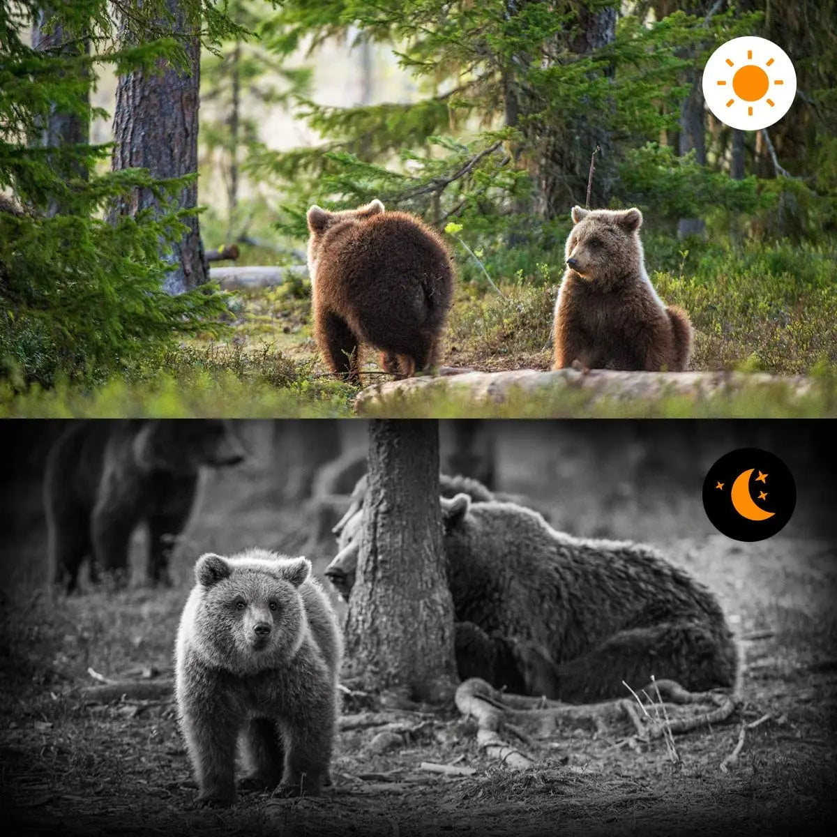 Advanced Night Vision Trail Camera - alternate angle