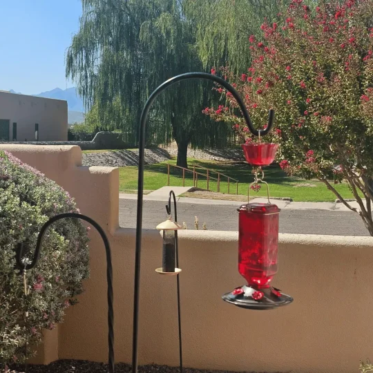 24oz Leak Proof Glass Hummingbird Feeder - detail