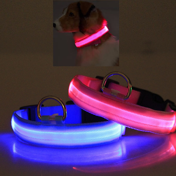 LED PET Safety Halo Style Collar - in use