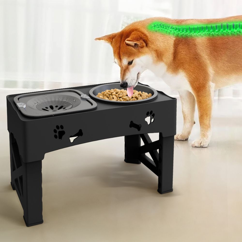 Adjustable Raised Pet Dog Slow Feeder - alternate angle