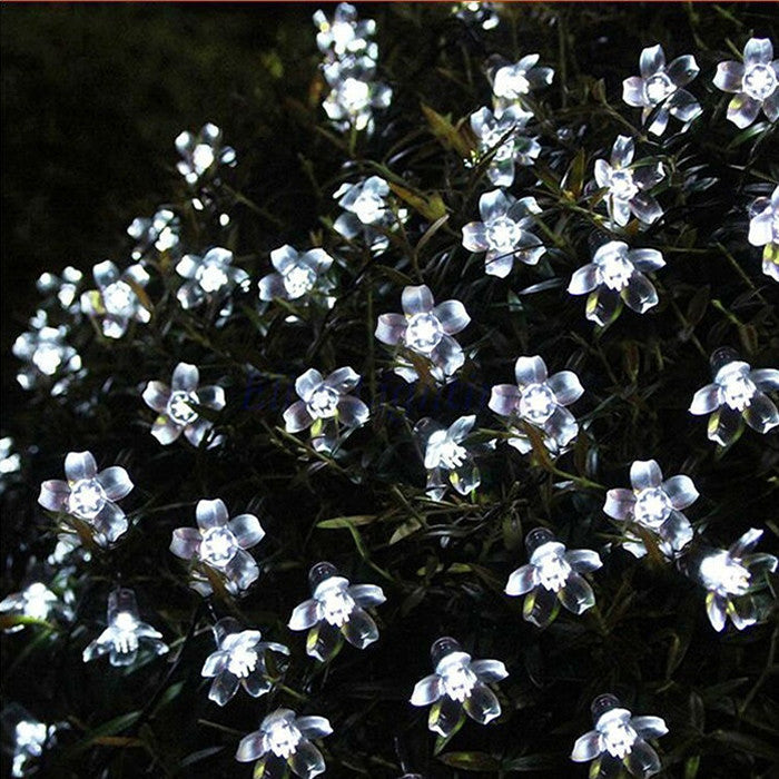 Solar Cherry Blossom Lights All Weatherproof - alternate angle
