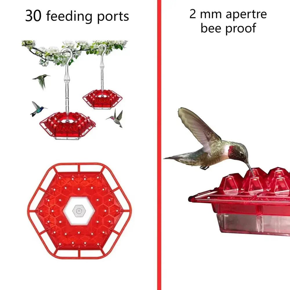 Ant Proof Hummingbird Feeder Outdoor Hanging Perch - in use