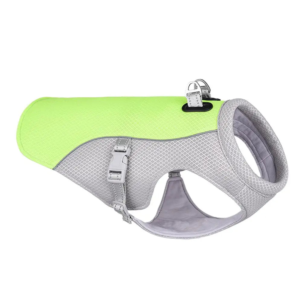 Dog Cooling Vest for Outdoor Activities - in use