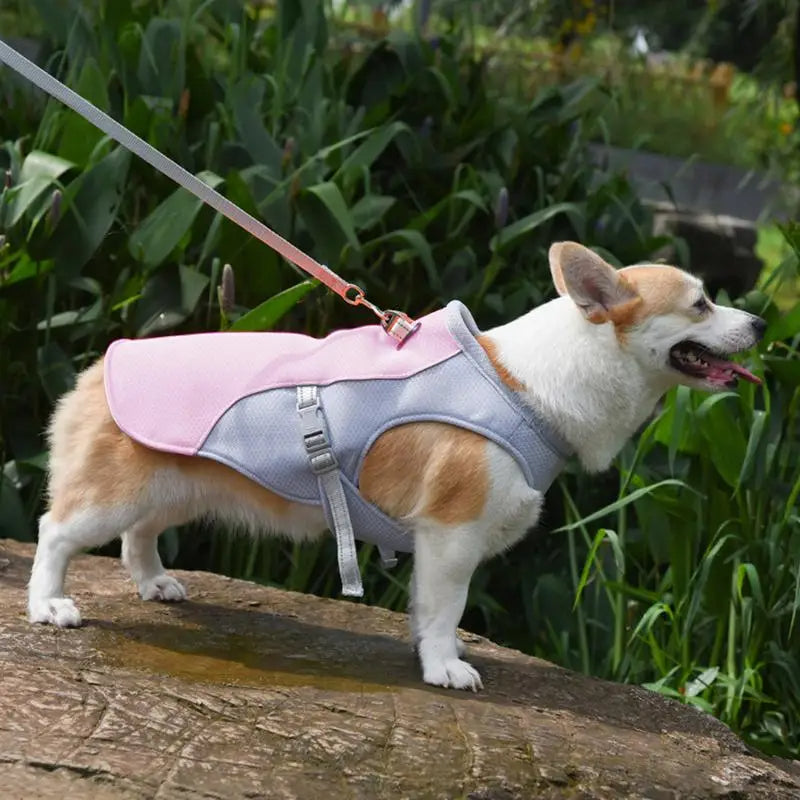 Dog Cooling Vest for Outdoor Activities - detail