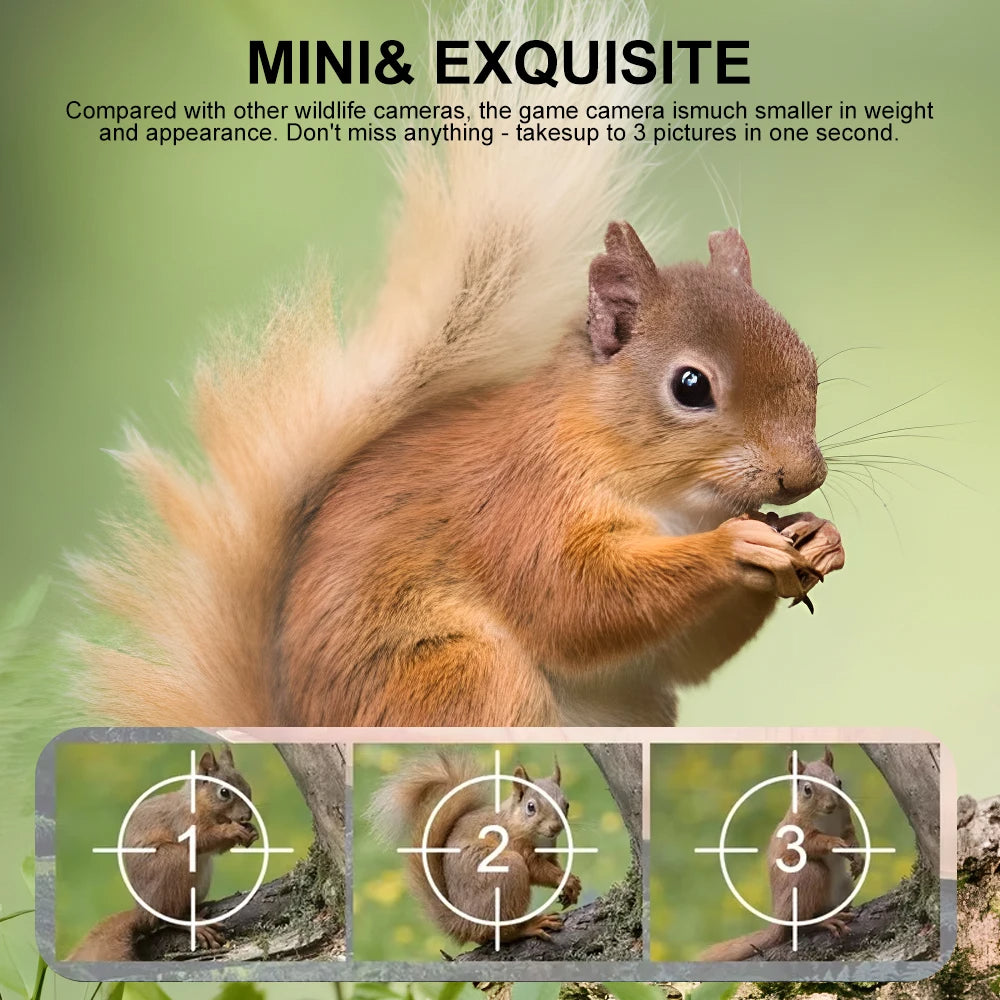 Compact Wildlife Camera with HD Infrared Night Vision - detail