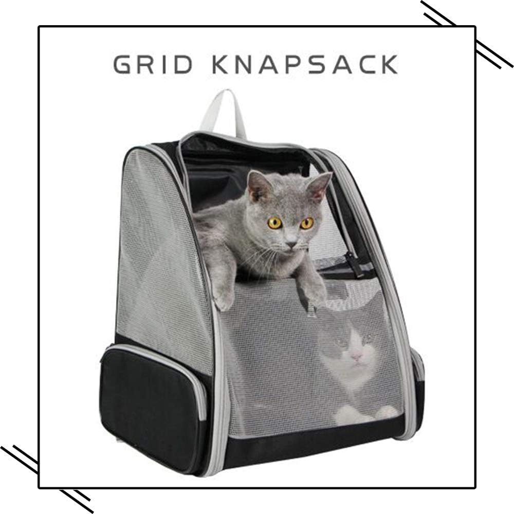 Backpack Carrier Cat - in use