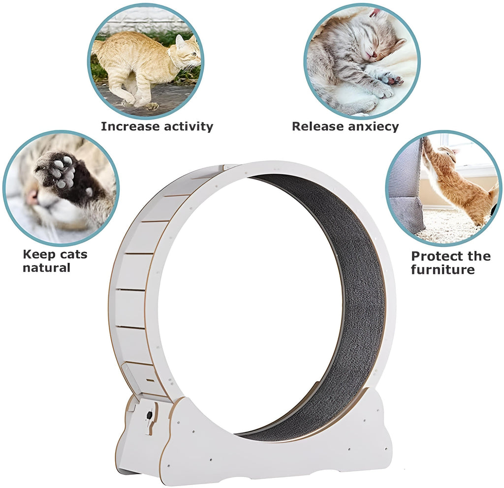 Cat Exercise Wheel - alternate angle