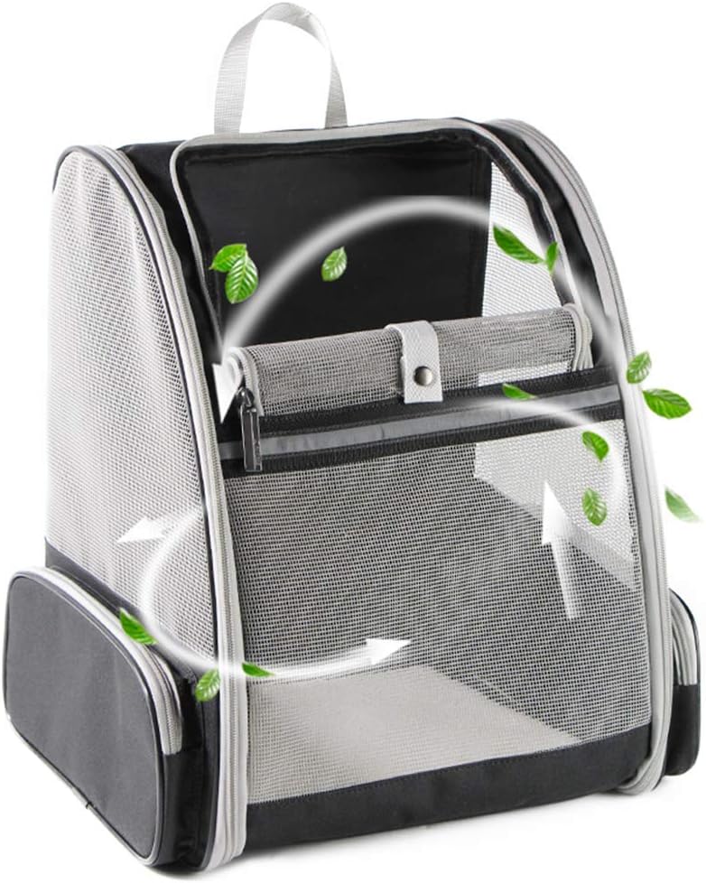 Backpack Carrier Cat - alternate angle