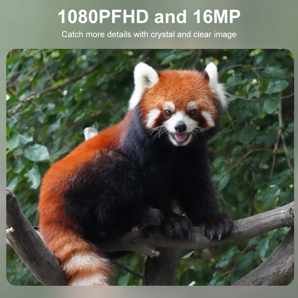 Compact Wildlife Camera with HD Infrared Night Vision - alternate angle