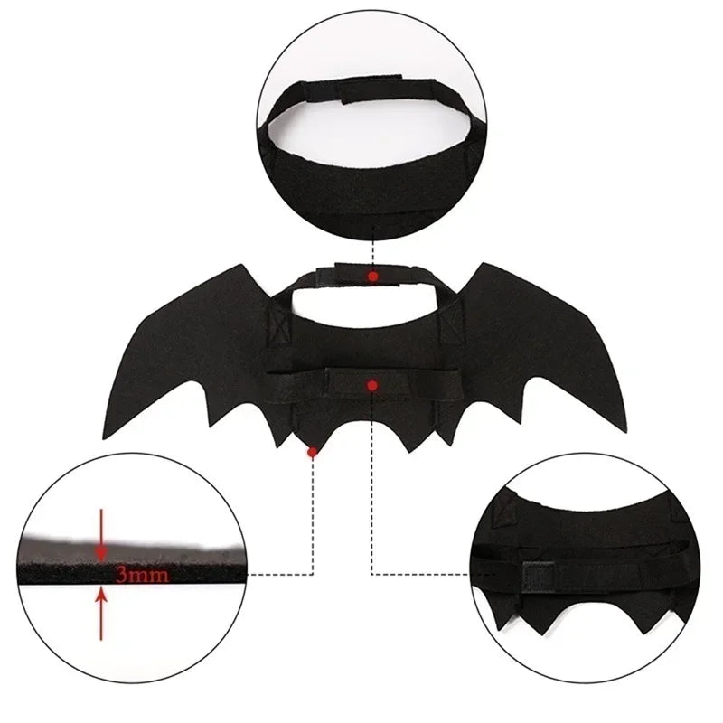 Bat Wing Halloween Costume for Pets - in use