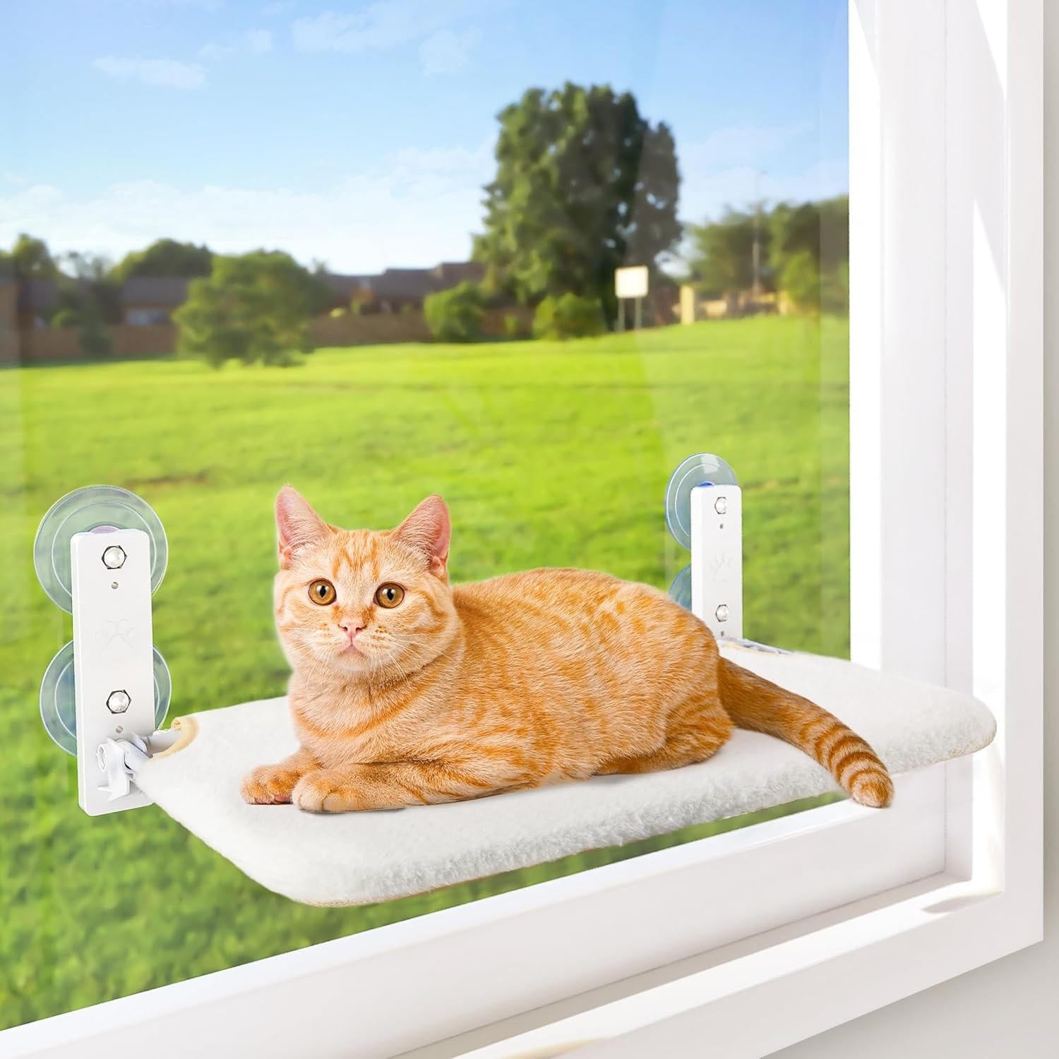 Cat Hammock Window - detail