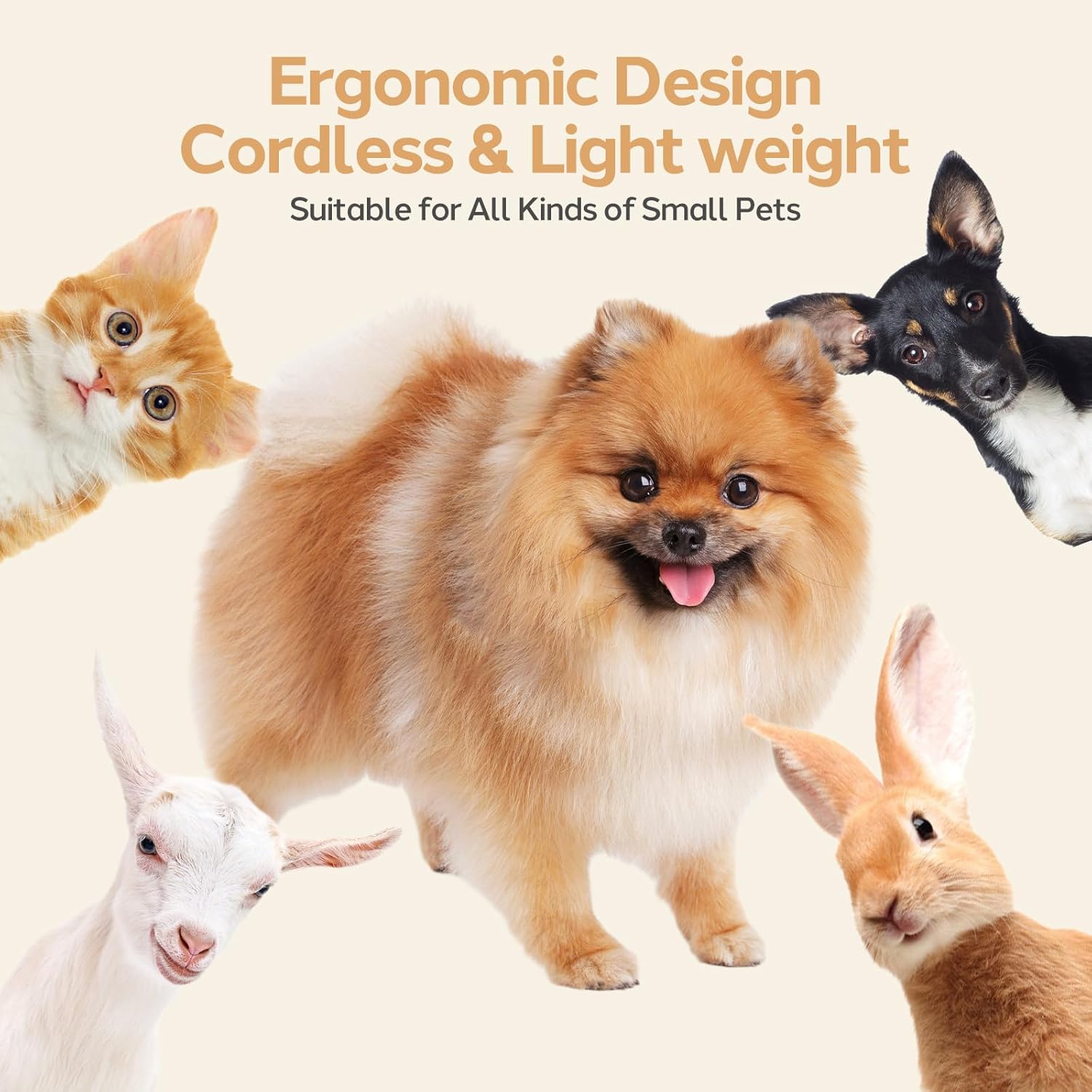 Dog Grooming Clippers Kit - detail