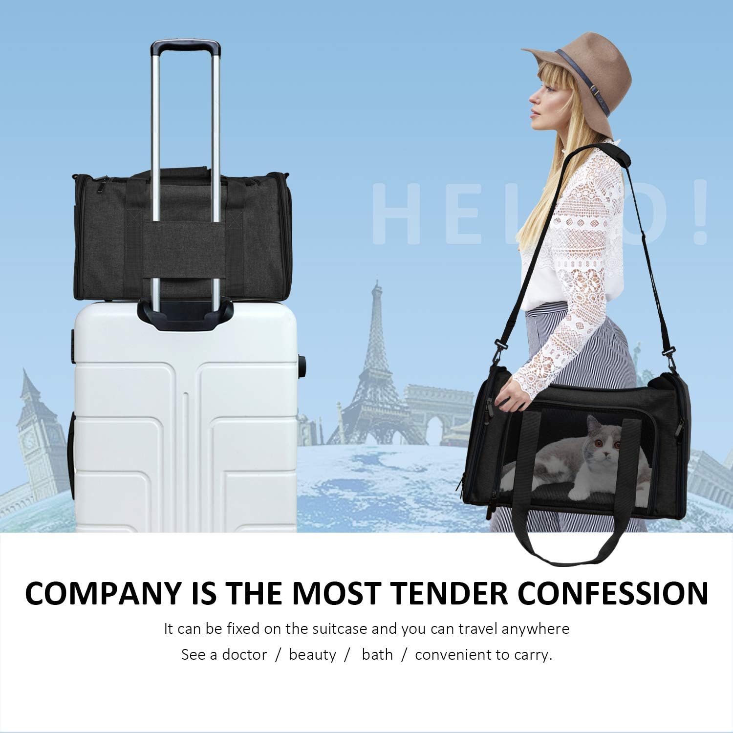 Dog Bag Carrier For Small Medium Cats Dogs Puppies Up To 15 Lbs - detail