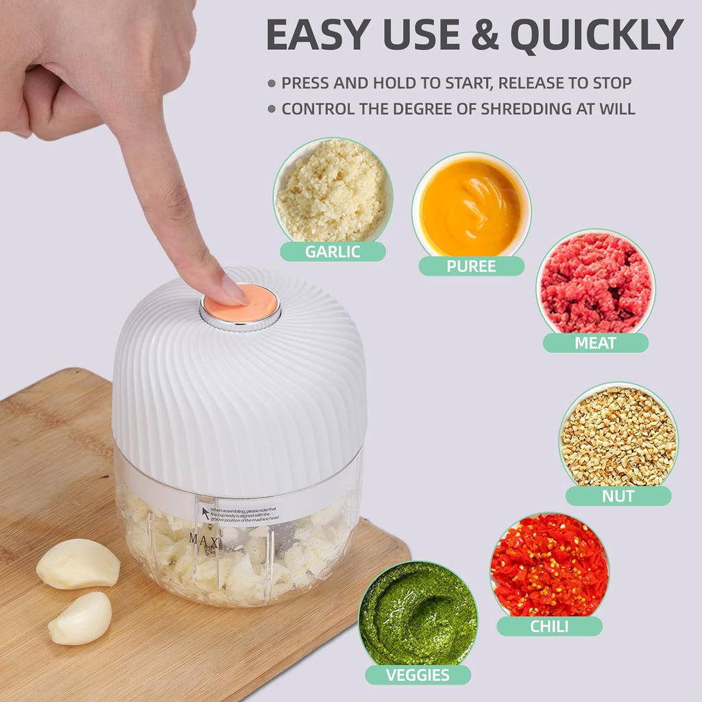 Electric Garlic Onion chili Chopper - detail