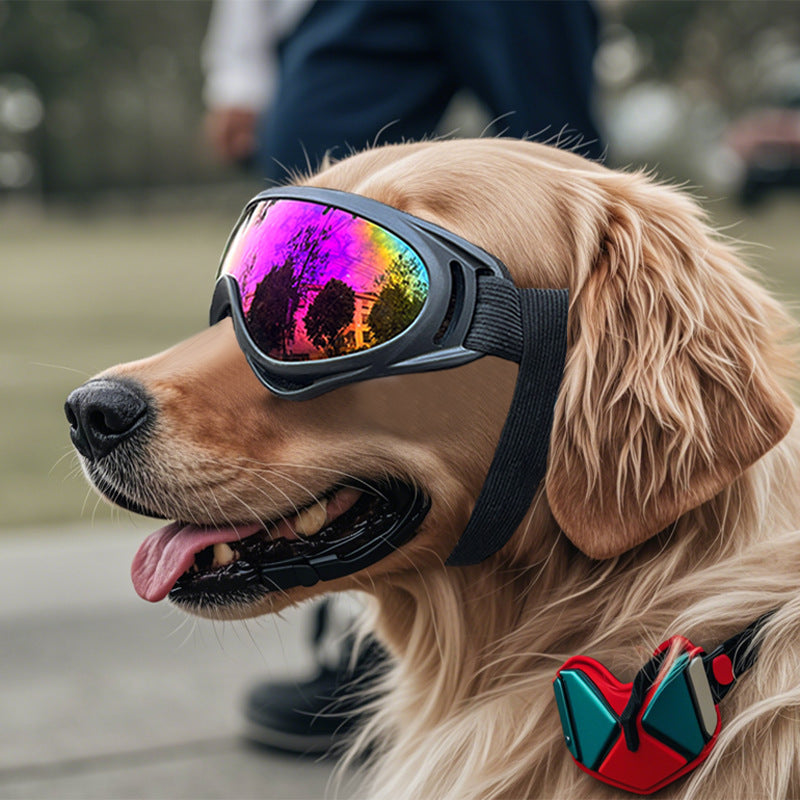 Dog Windproof Plastic Pet Glasses - alternate angle