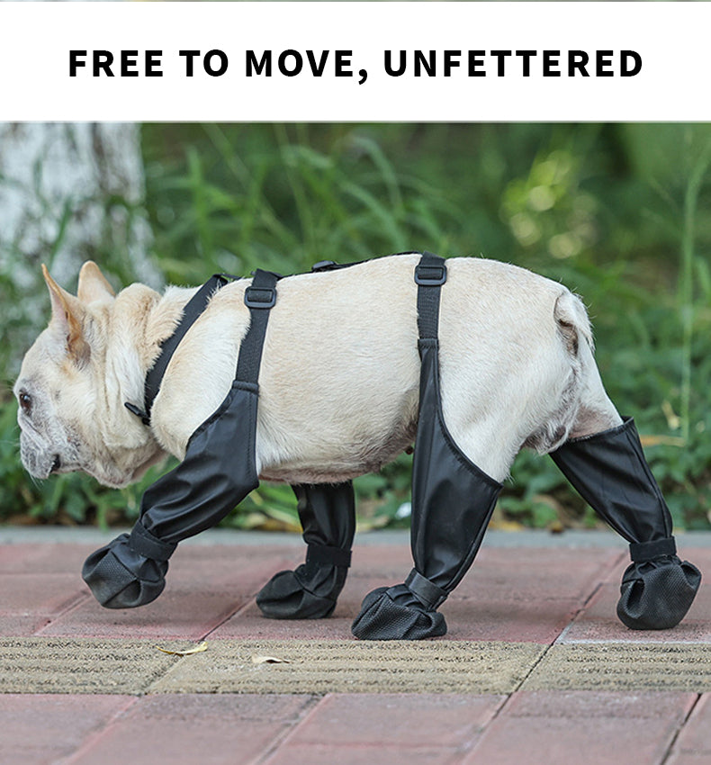 Adjustable Dog Boots - in use