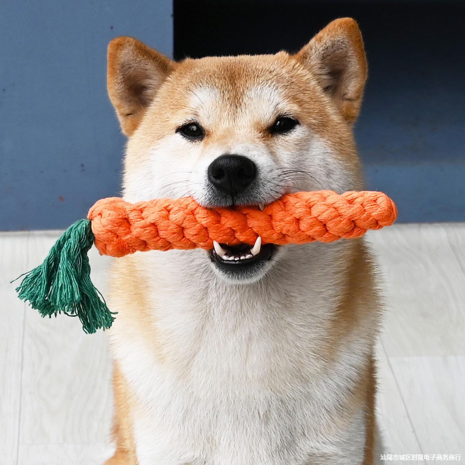 Pet Dog Cord Teether Knot Toy - alternate angle