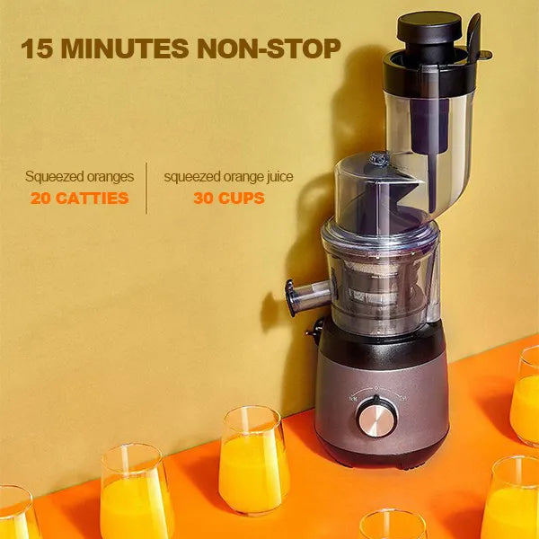 Automatic Juicer - Juicer Household Residue for Fruits and Vegetables - detail
