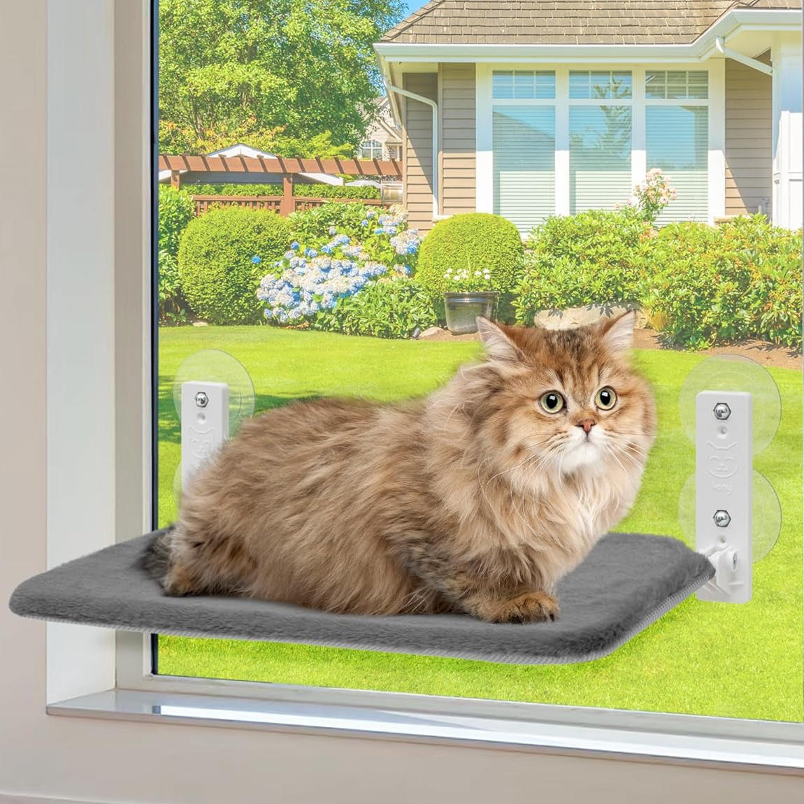 Cat Hammock Window - alternate angle