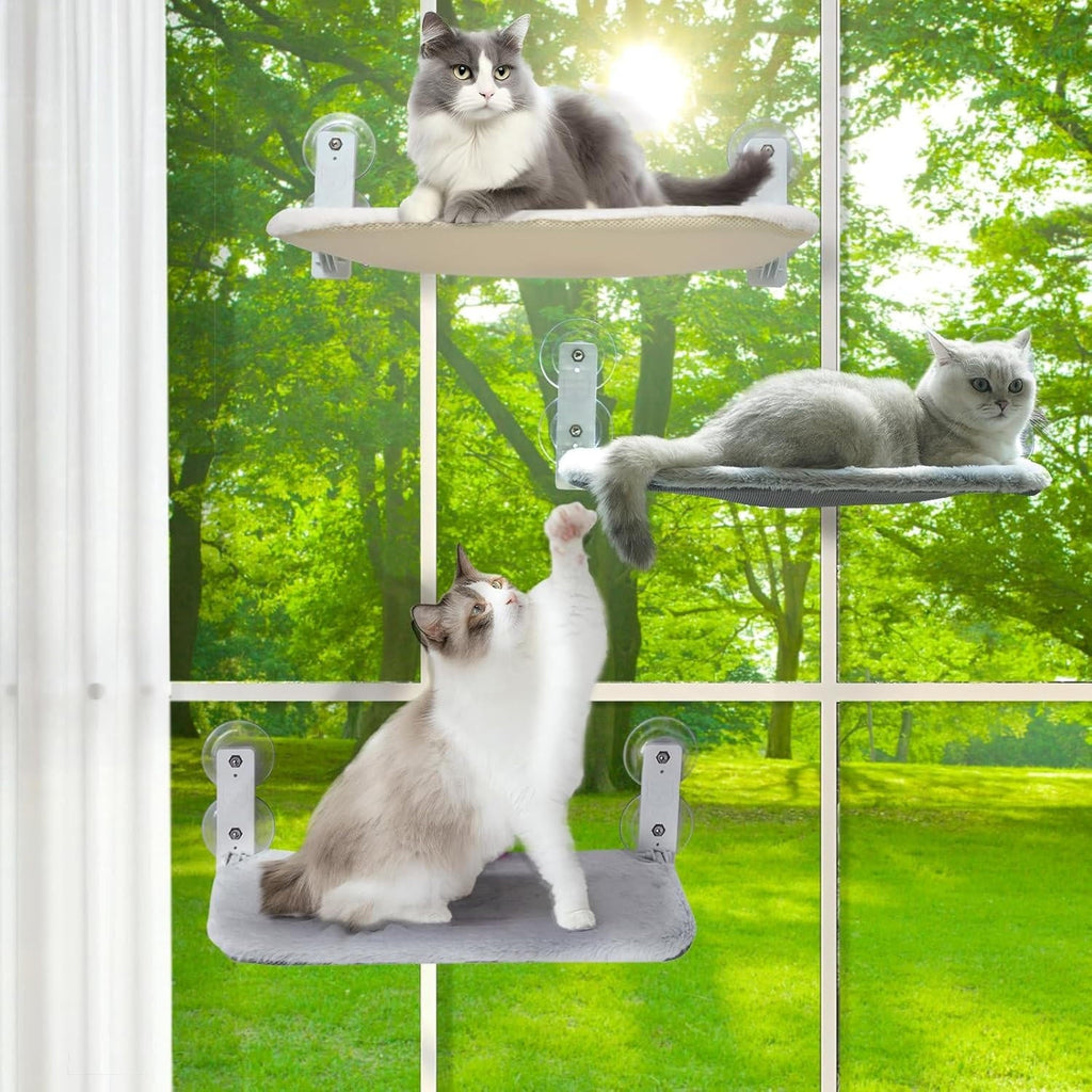 Cat Hammock Window - detail