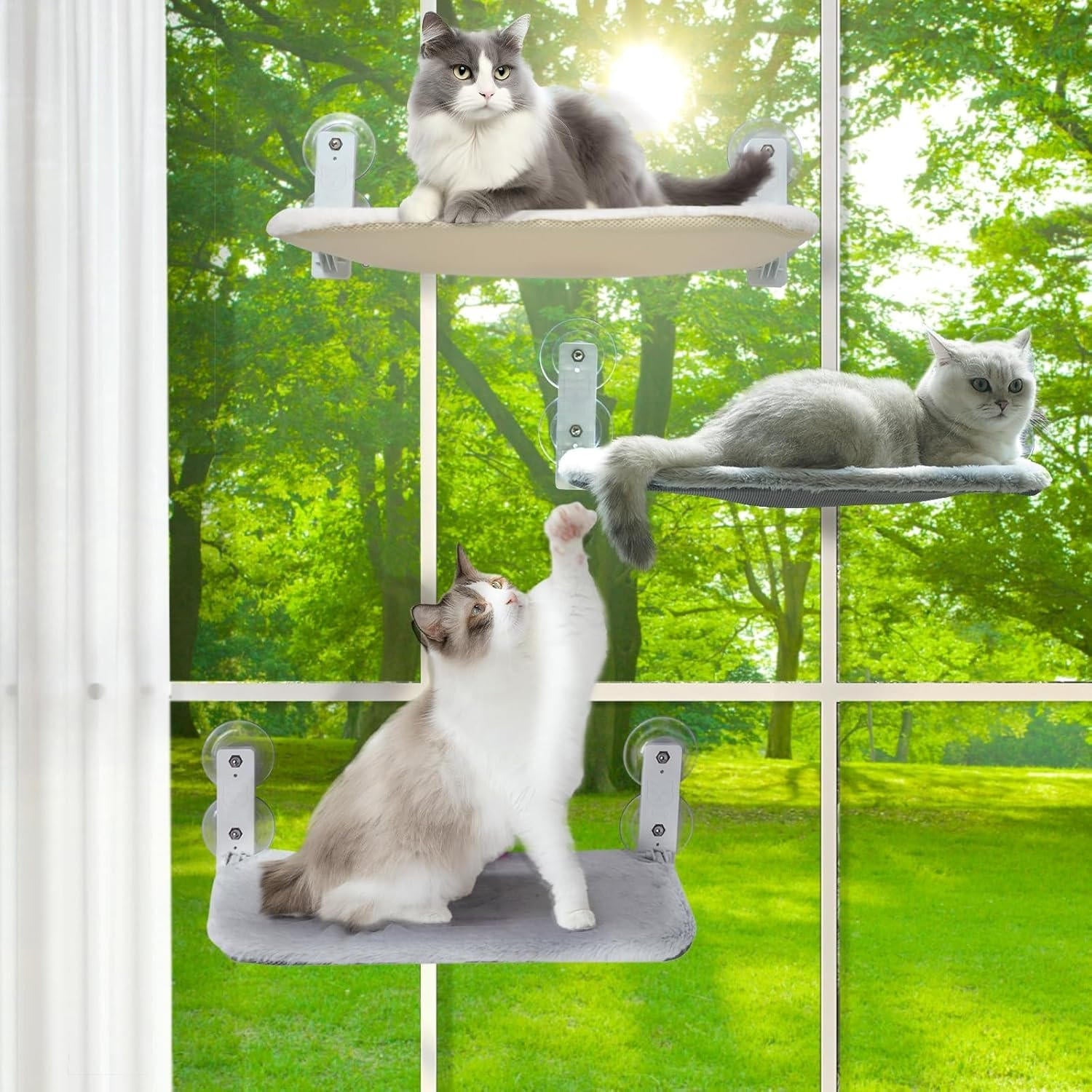 Cat Hammock Window - detail