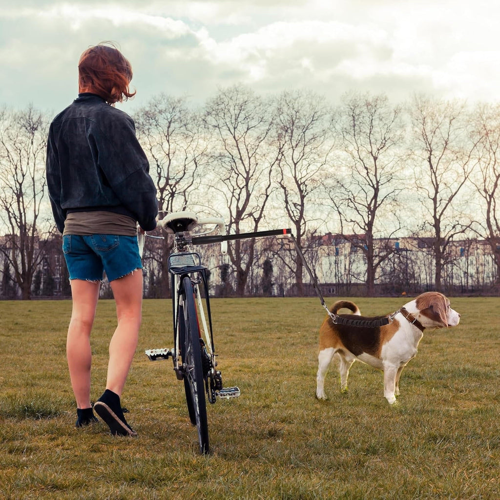 Bike Dog Tow Leash - alternate angle