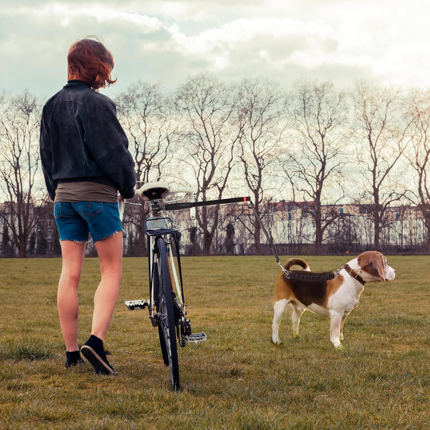 Bike Dog Tow Leash - alternate angle