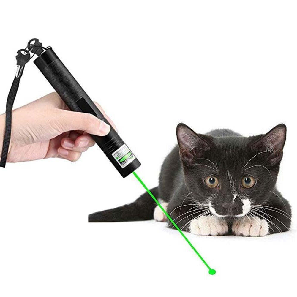 High-Performance Laser Pointer - detail