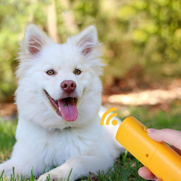 Anti-Bark Box For Dogs - in use