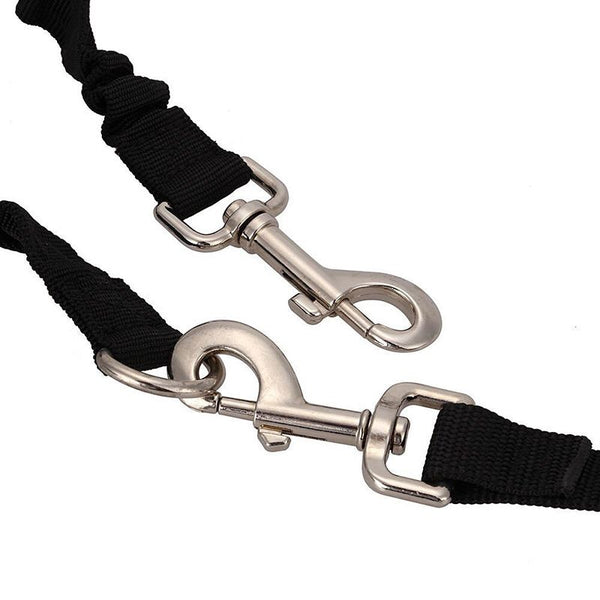 Dog Bike Harness - in use