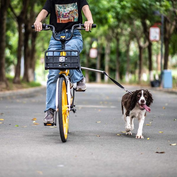 Dog Bike Harness - detail