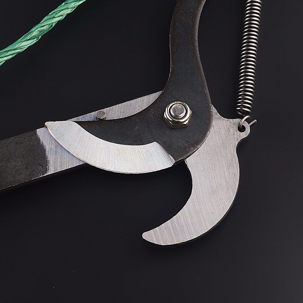 High-Altitude Extension Pruning Shears - detail